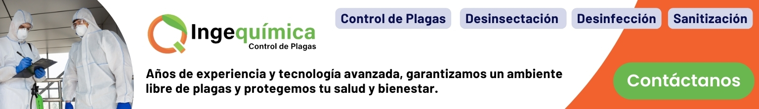 Control de plagas en Santiago